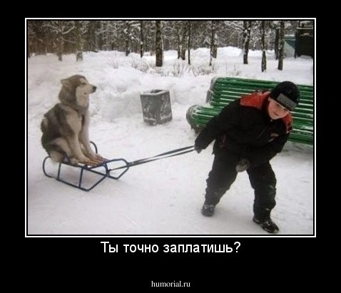 Ты точно заплатишь?