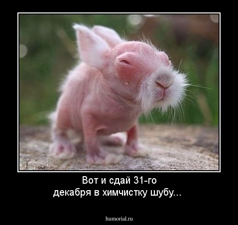 Вот и сдай 31-го декабря  в химчистку шубу...