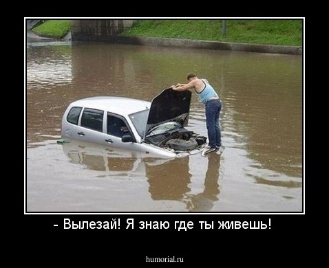 - Вылезай! Я знаю где ты живешь! 