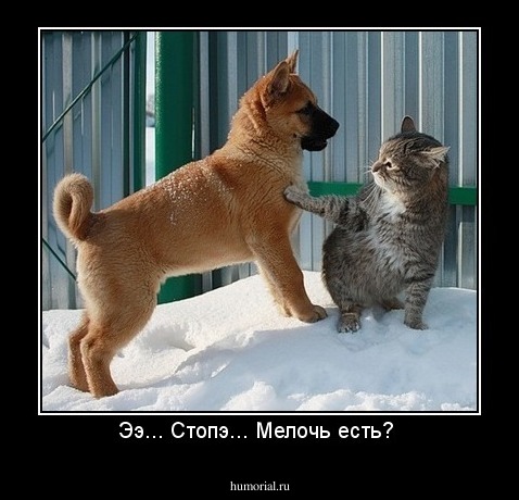 Ээ... Стопэ... Мелочь есть? 