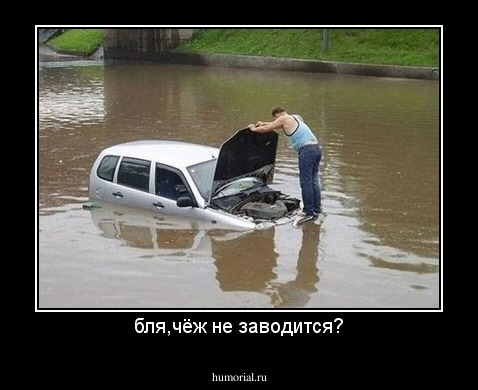 бля,чёж не заводится?