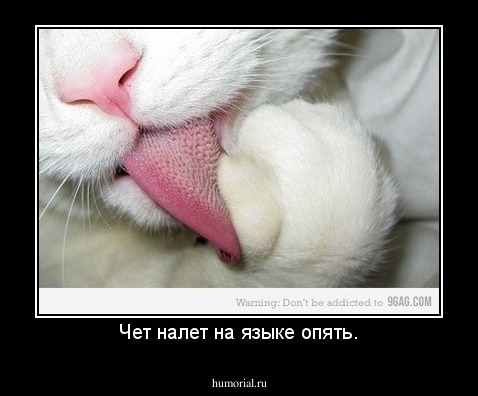 Чет налет на языке опять.