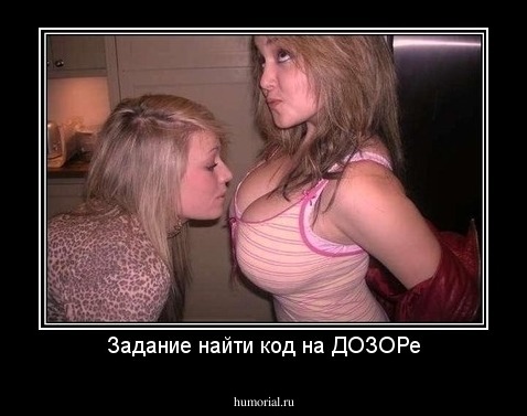 Задание найти код на ДОЗОРе