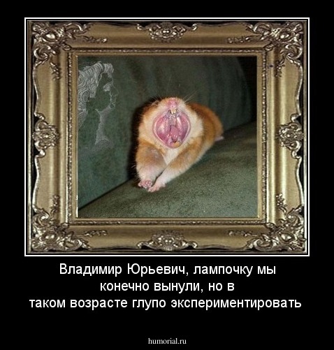 Владимир Юрьевич, лампочку мы конечно вынули, но в таком возрасте глупо экспериментировать