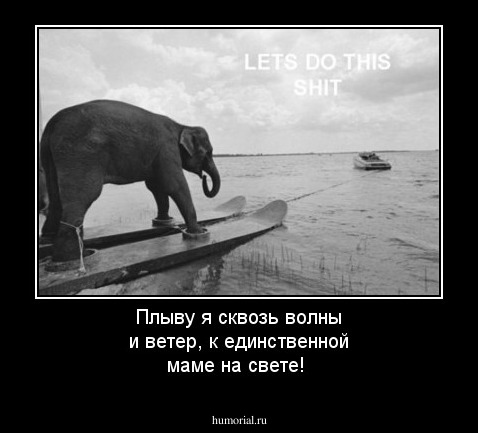 Плыву я сквозь волны и ветер, к единственной маме на свете!