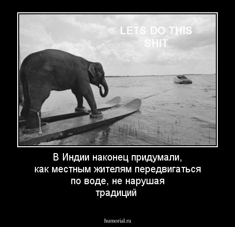 В Индии наконец придумали, как местным жителям передвигаться по воде, не нарушая традиций 