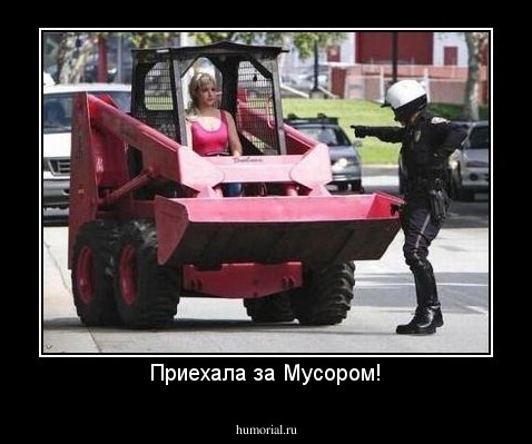 Приехала за Мусором!