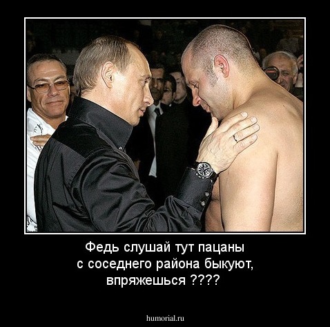 Федь слушай тут пацаны с соседнего района быкуют, впряжешься ????
