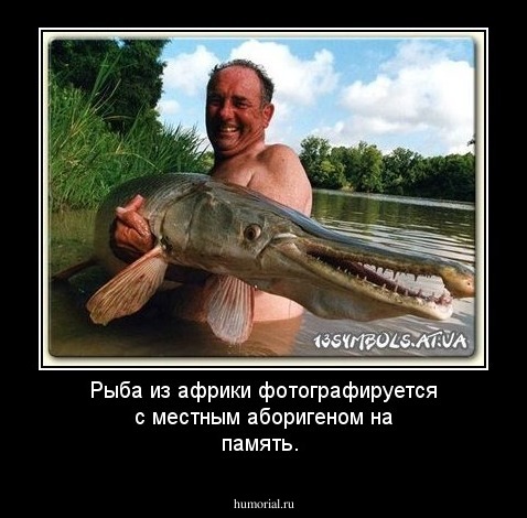 Рыба из африки фотографируется с местным аборигеном на память.