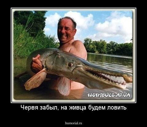 Червя забыл, на живца будем ловить