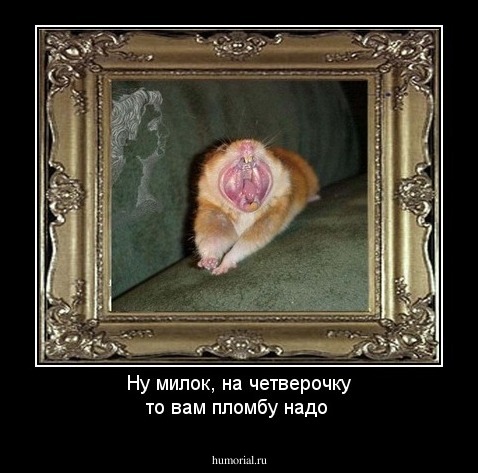 Ну милок, на четверочку то вам пломбу надо