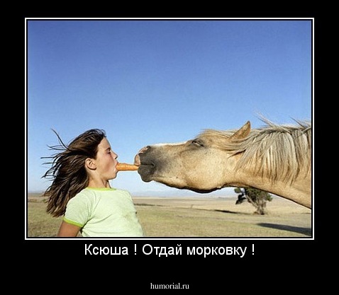 Ксюша ! Отдай морковку !
