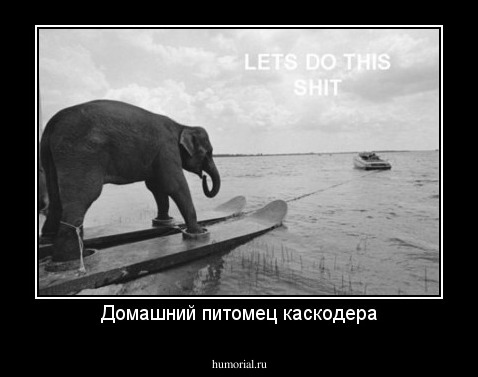 Домашний питомец каскодера