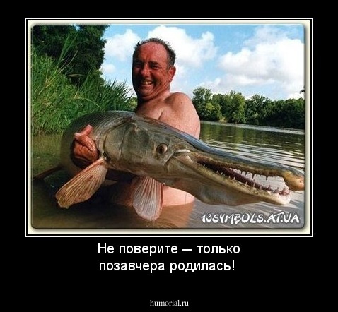 Не поверите -- только позавчера родилась!