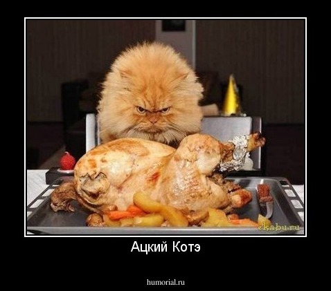 Ацкий Котэ