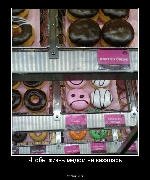 Чтобы жизнь мёдом не казалась
