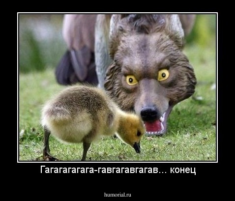 Гагагагагага-гавгагавгагав... конец