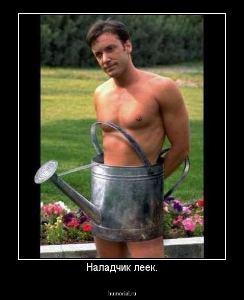 Наладчик леек.