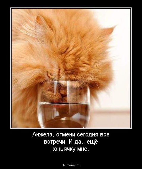 Анжела, отмени сегодня все встречи. И да.. ещё коньячку мне.