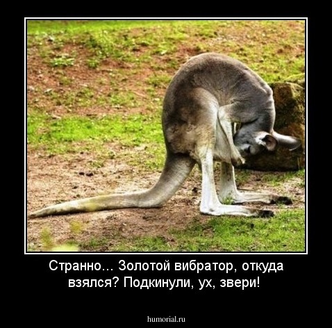 Странно... Золотой вибратор, откуда взялся? Подкинули, ух, звери!