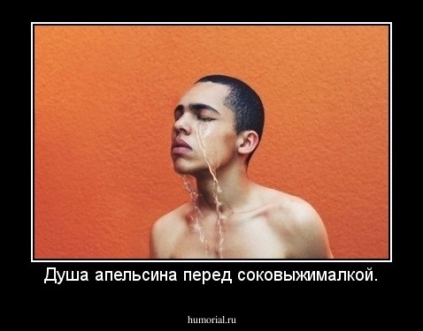 Душа апельсина перед соковыжималкой.