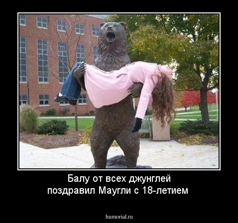Балу от всех джунглей поздравил Маугли с 18-летием