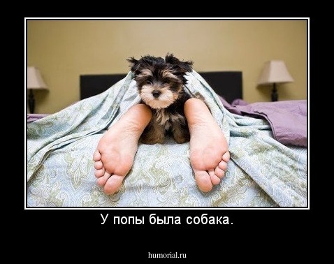 У попы была собака.