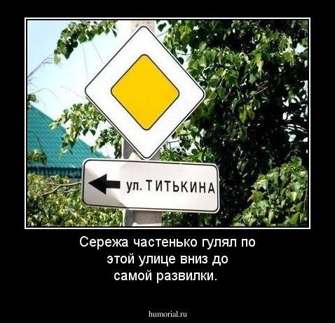 Сережа частенько гулял по этой улице вниз до самой развилки.
