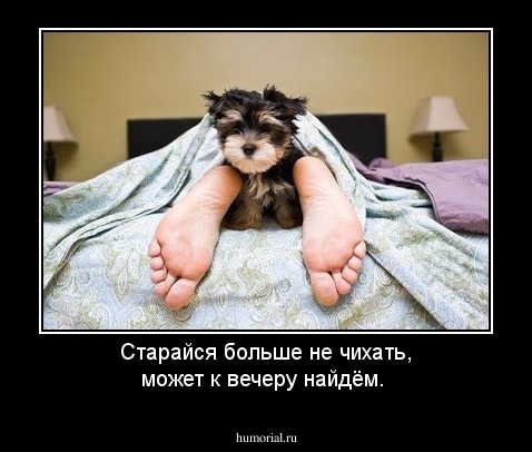 Старайся больше не чихать, может к вечеру найдём.