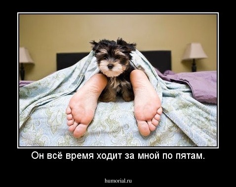 Он всё время ходит за мной по пятам.
