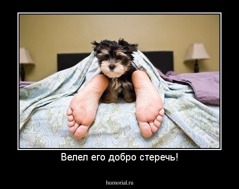 Велел его добро стеречь!