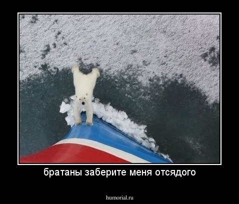 братаны заберите меня отсядого