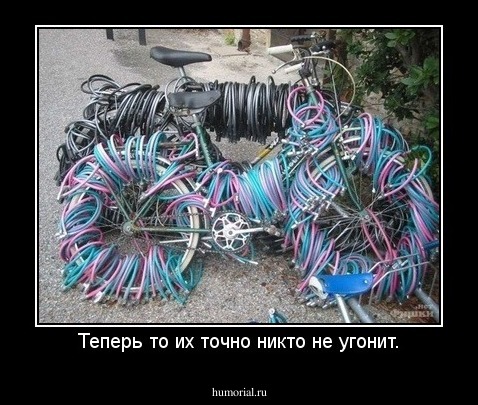 Теперь то их точно никто не угонит.