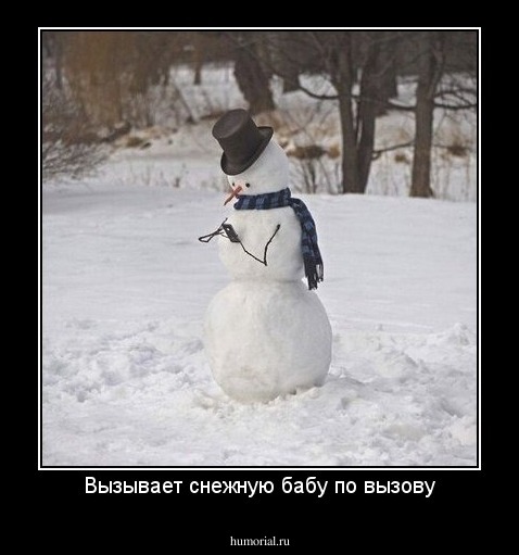 Вызывает снежную бабу по вызову