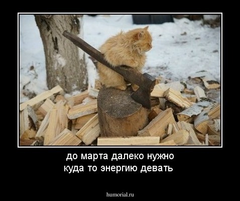 до марта далеко нужно куда то энергию девать 