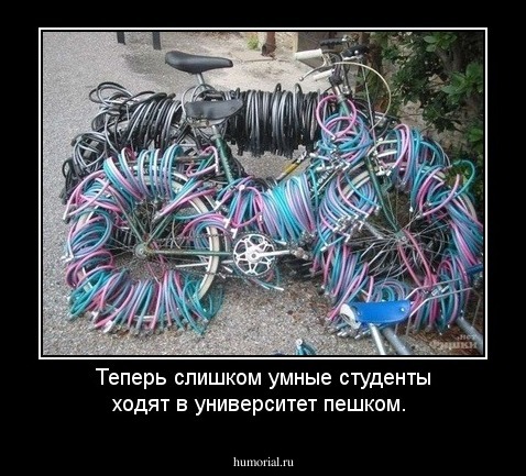 Теперь слишком умные студенты ходят в университет пешком.
