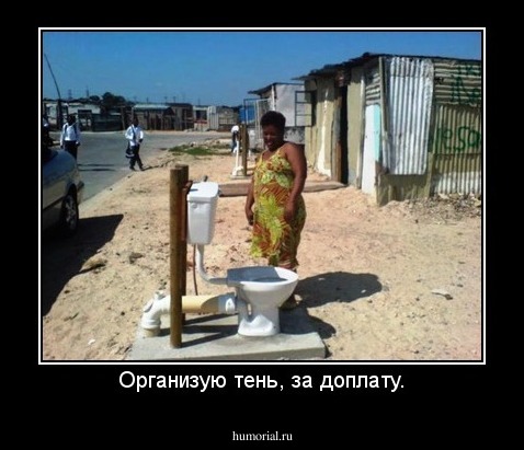 Организую тень, за доплату.