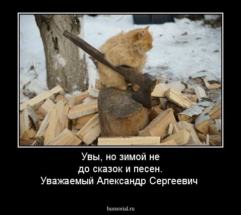 Увы, но зимой не до сказок и песен. Уважаемый Александр Сергеевич