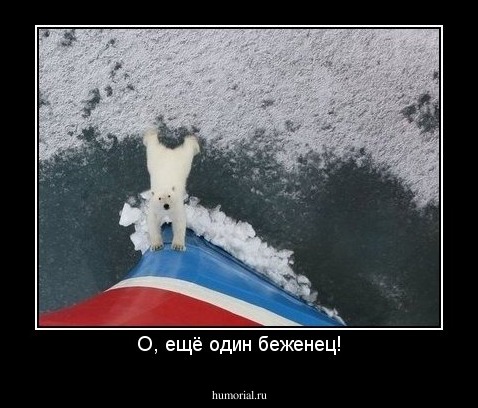 О, ещё один беженец!