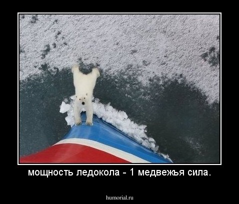 мощность ледокола - 1 медвежья сила.