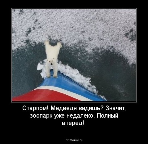 Старпом! Медведя видишь? Значит, зоопарк уже недалеко. Полный вперед! 