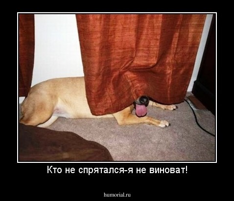 Кто не спрятался-я не виноват!