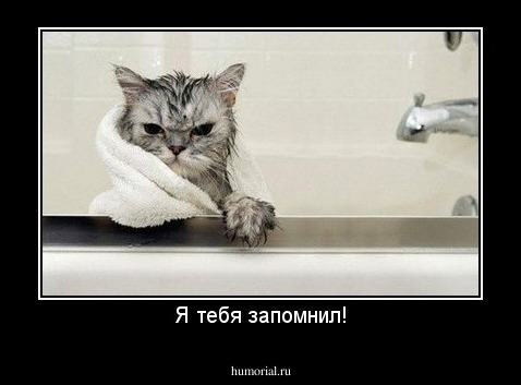 Я тебя запомнил!