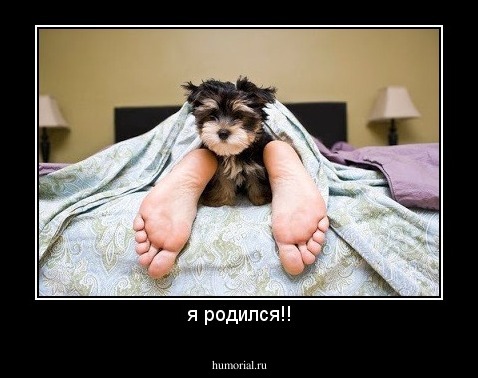 я родился!!