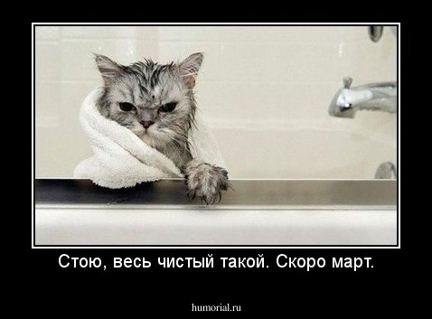 Стою, весь чистый такой. Скоро март.