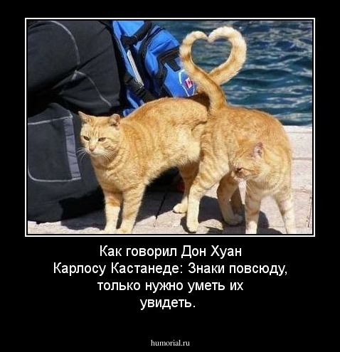 Как говорил Дон Хуан Карлосу Кастанеде: Знаки повсюду, только нужно уметь их увидеть.