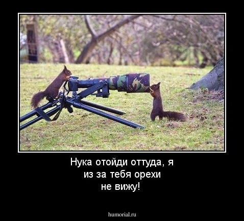Нука отойди оттуда, я из за тебя орехи не вижу!