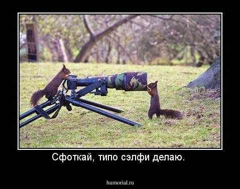 Сфоткай, типо сэлфи делаю. 
