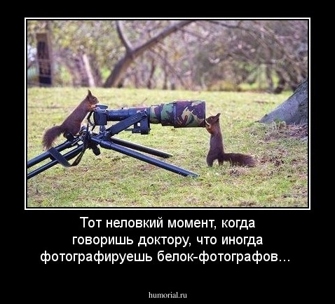Тот неловкий момент, когда говоришь доктору, что иногда фотографируешь белок-фотографов...