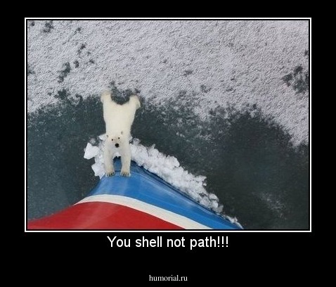 You shell not path!!!